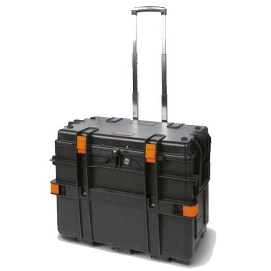 00005356_1 00005356_1