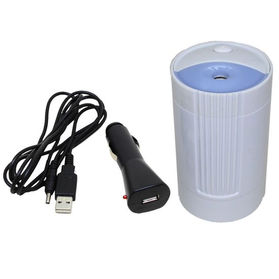 00005536_1 00005536_1